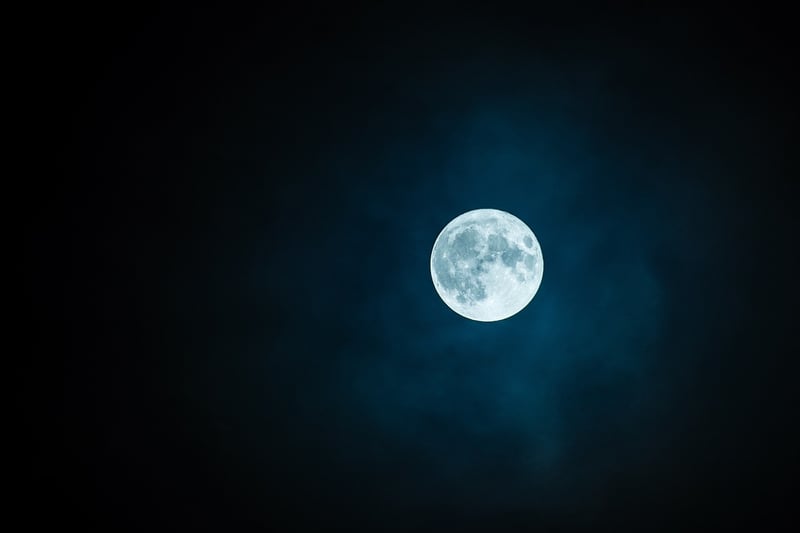 Moonbeam Veil